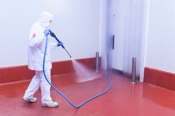 Boat and Dock Cleaning in Valley Stream, NY